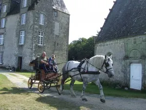 Tour en attelage avec Gaston!