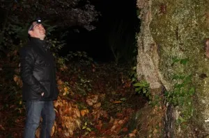 L'arbre porte bonheur