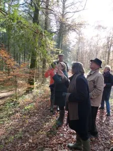 Chêne pédonculé ou rouvre?